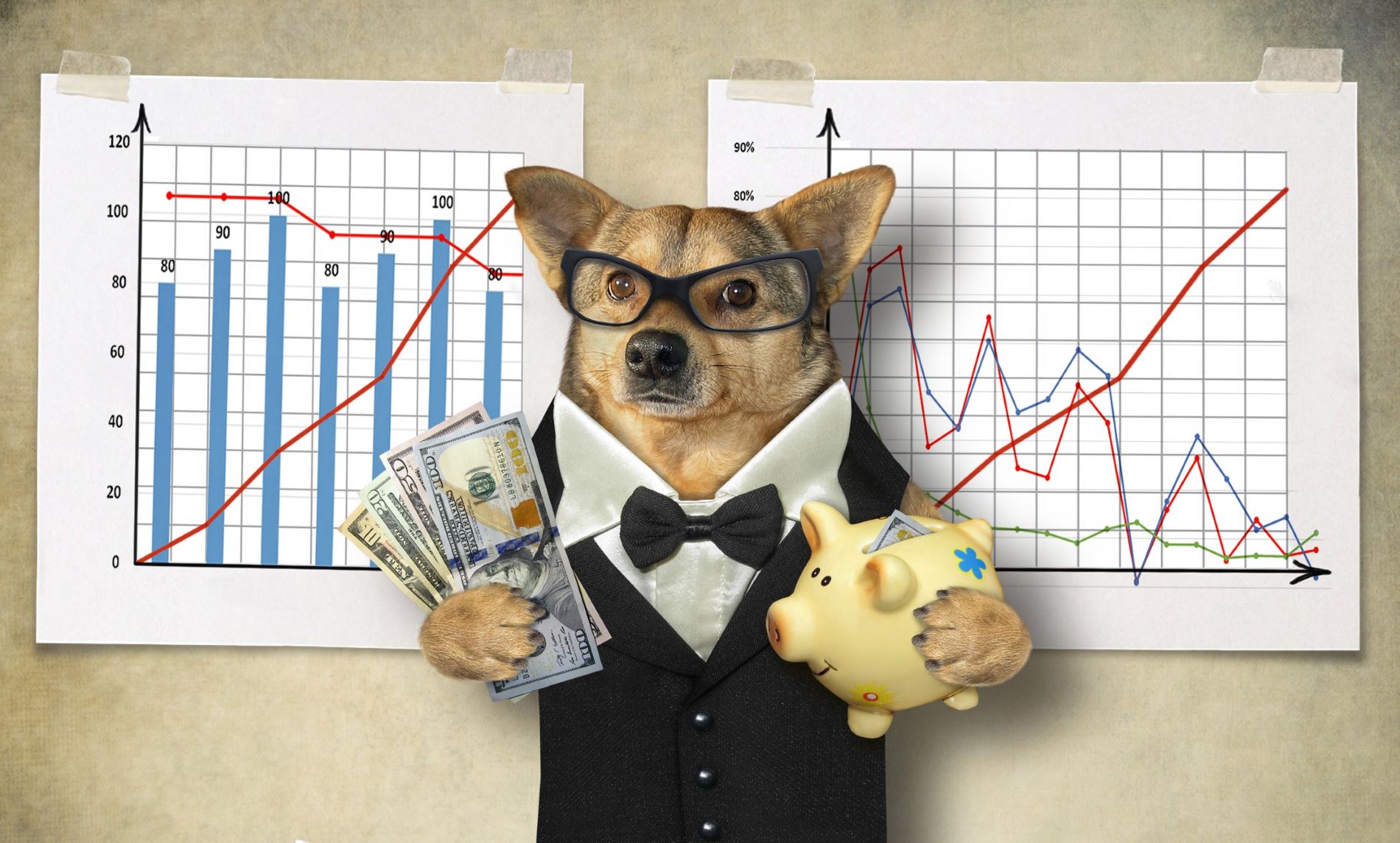 A dog in a suit is standing in front of two charts. He is going to give you some good financial advice.